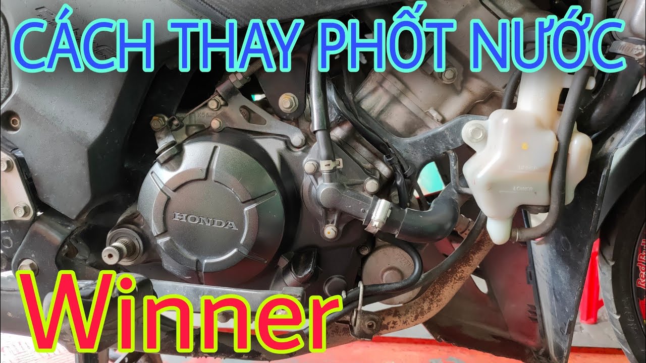 Cách thay phốt nước winner - winner x