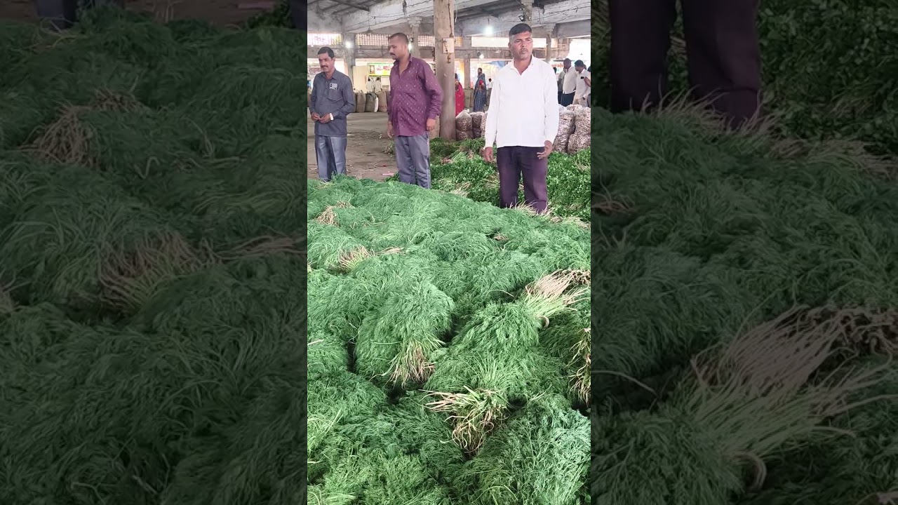 आज दि 23 फेब्रुवारी नाशिक कृषि उत्पन्न बाजार समिती बाजारभाव 😊