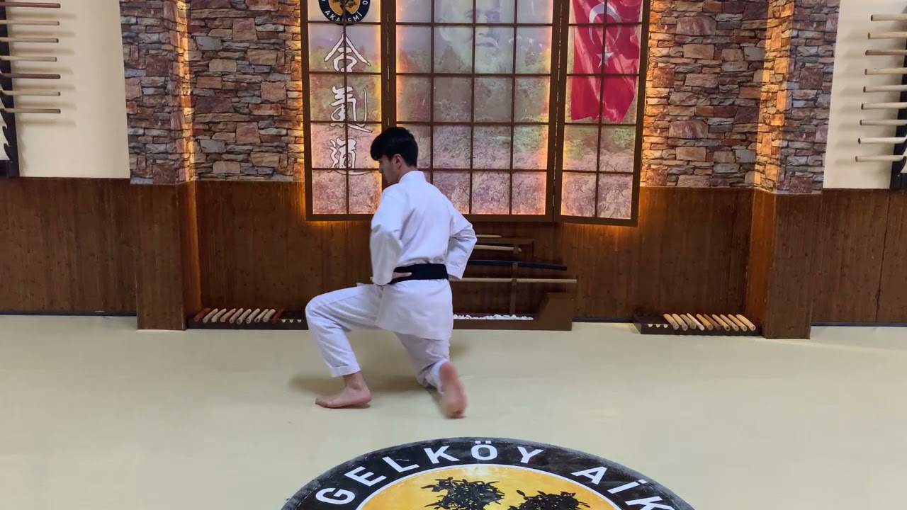 Shikko (Dizler Üzerinde Yürüyüş) | Yetişkin Aikido | Çocuk Aikido