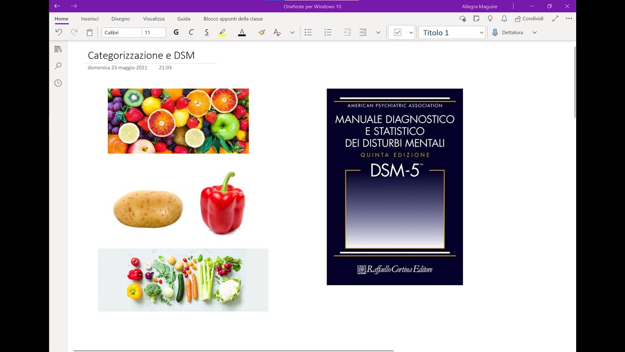 La Categorizzazione Cognitiva e il DSM