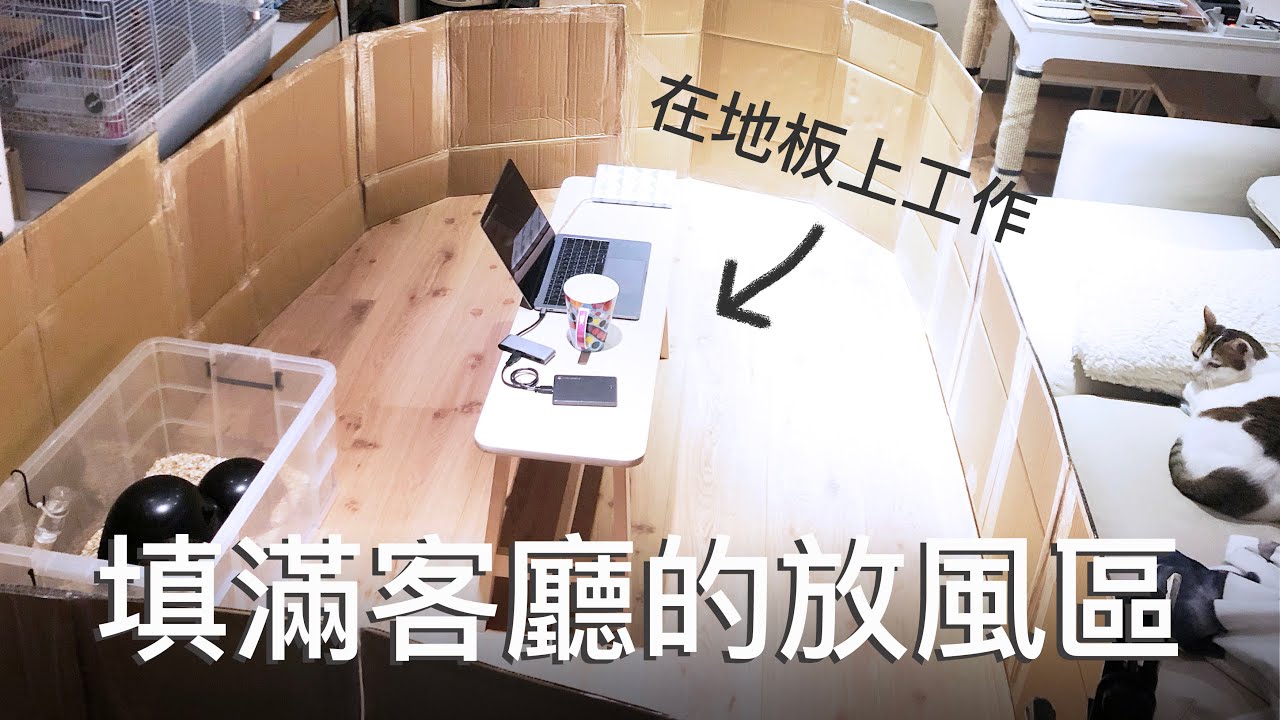 【海豬Seapig】用紙箱做的放風區！簡易圍欄放風～