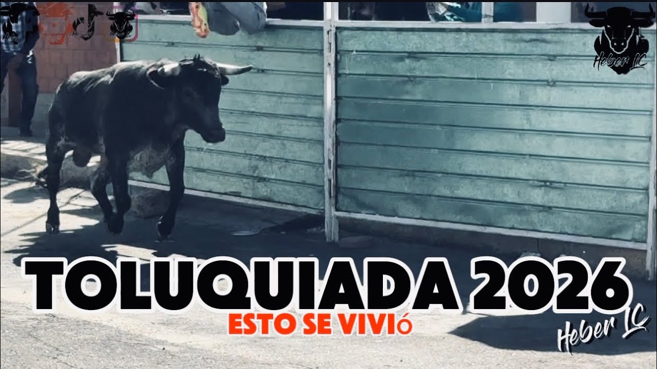 TOLUQUIADA 2026 | Esto se vivió 