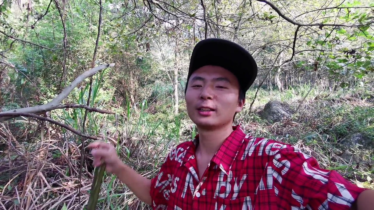旱季时期，我给养鸡棚接了根山泉水管