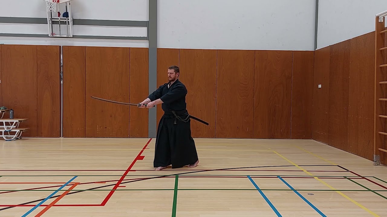 iaido: Performing the znkr seitei iaido 1-12