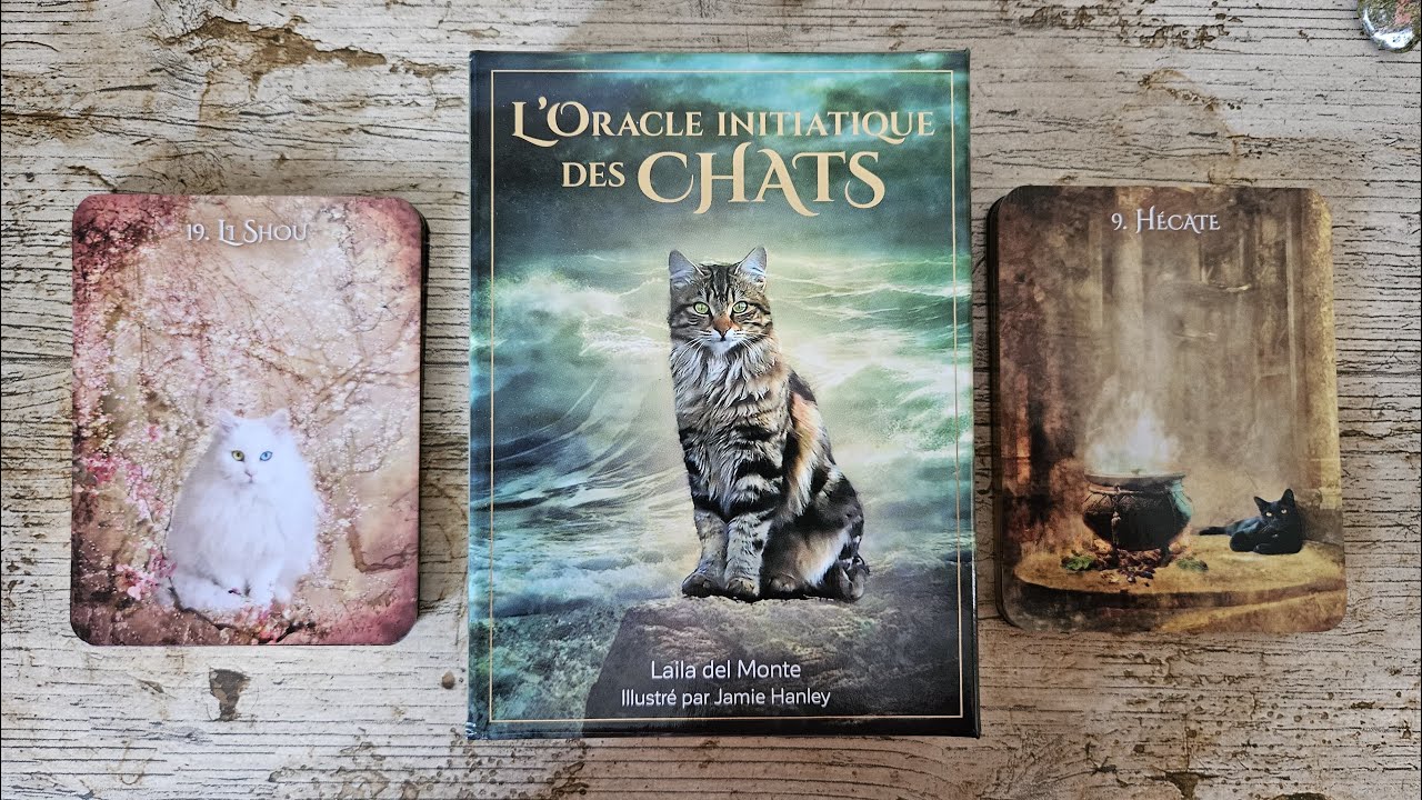 L'Oracle Initiatique des Chats - Laïla Del Monte