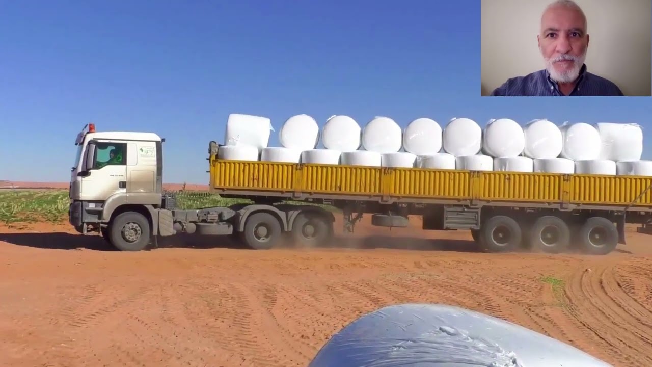 تابعو  مشاريع القارة الجزائرية من الجنوب: شوفو أكبر مزرعة تنتج الاعلاف الخضراء تمول 39 ولايةENSILAGE