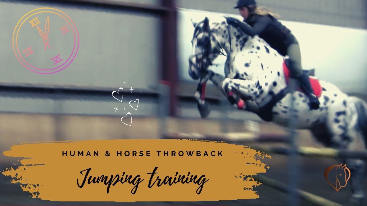 JUMPING TRAINING WITH APPALOOSA STALLION 🖤😊🤍