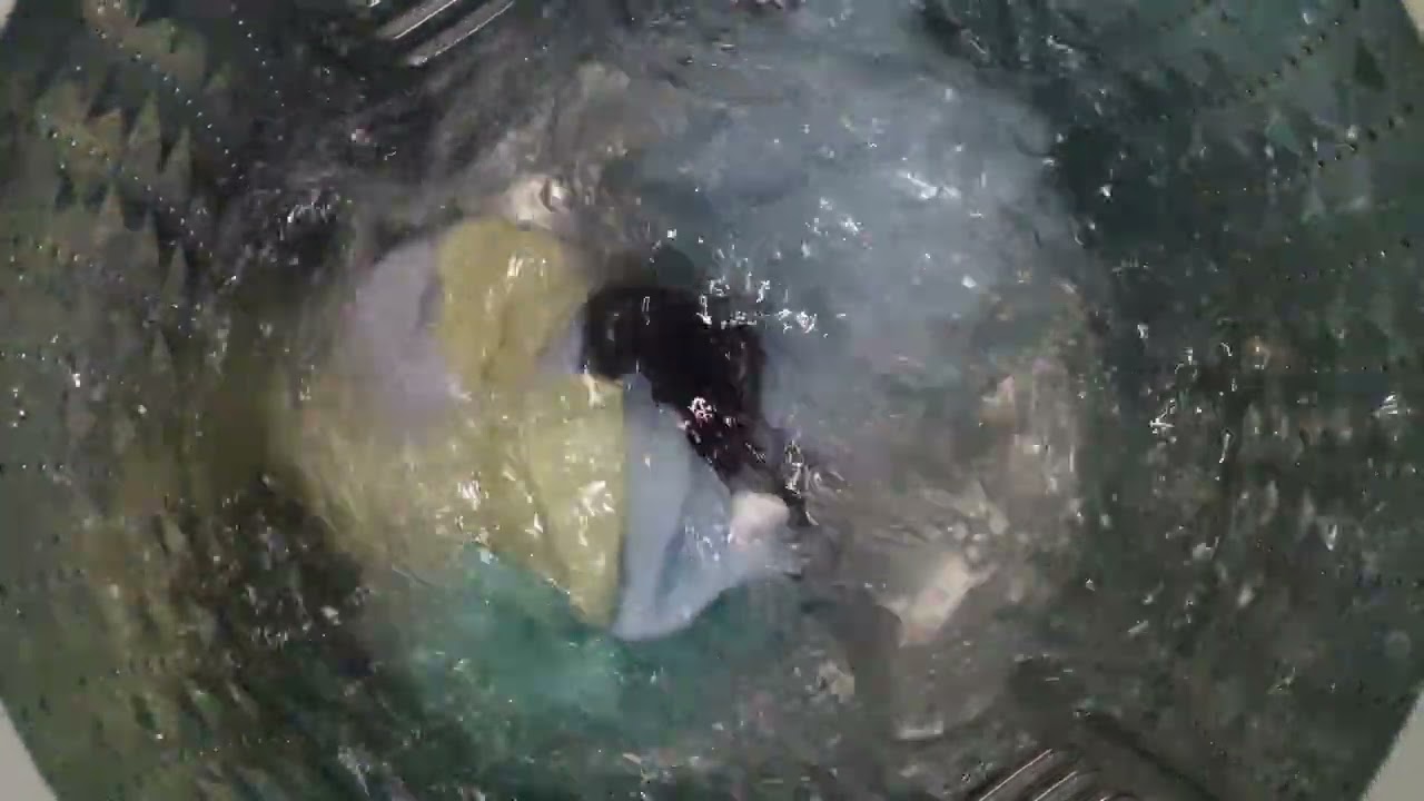 그랑데 통버블 세탁기 16kg WA16A6374BW 제트샷 헹굼 시 적용 타올 표준코스 물 2단계 작동영상