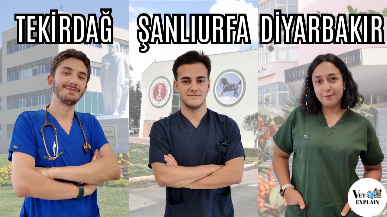 Tekirdağ, Şanlıurfa ve Diyarbakır’daki Veteriner Fakültelerini Karşılaştırıyoruz!