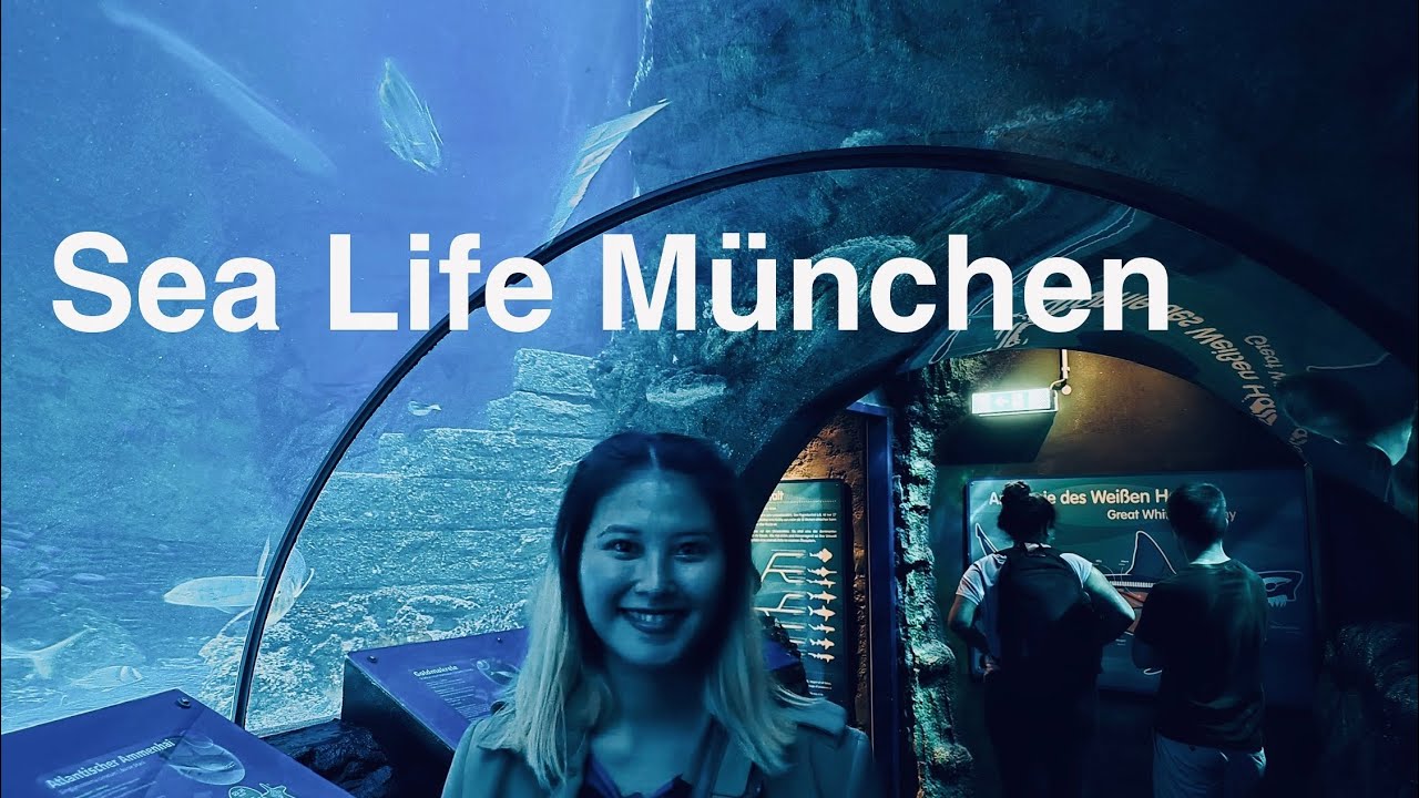 Sea Life München Part 1