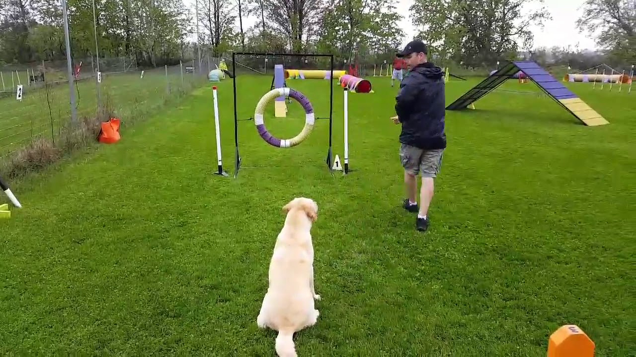 Advanced standard AAC agility