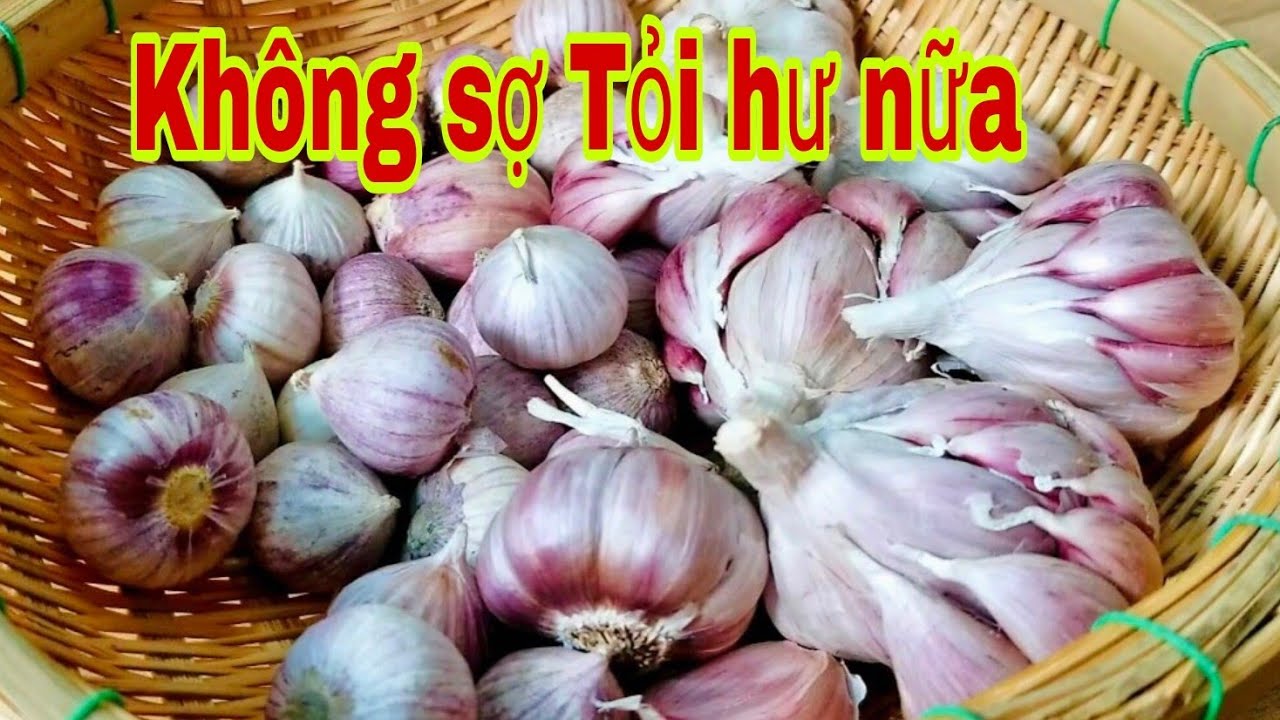 Bạn sẽ ghiền ăn Tỏi khi bảo quản theo cách này .