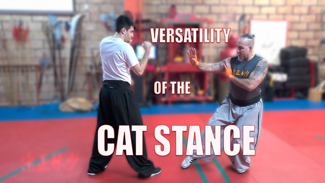 How to Use Kung Fu's Cat Stance For....GRAPPLING!!??