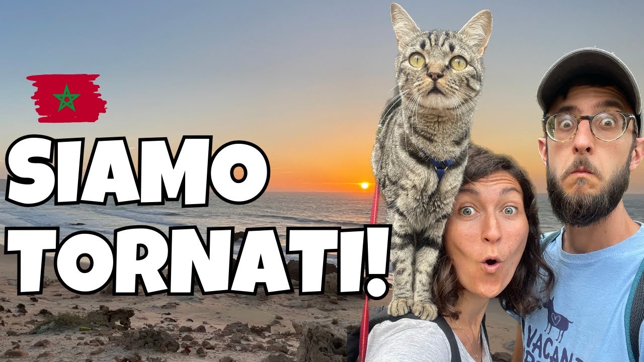 MAROCCO IN CAMPER: SIAMO TORNATI E ABBIAMO INCONTRATO TUTTI!