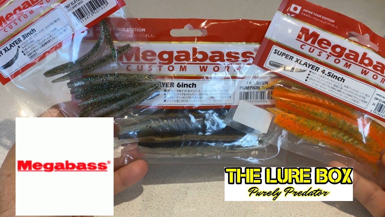 Megabass Xlayer - 3 sizes; features & swimming underwater #lurefishing #megabasslures #lurefishinguk