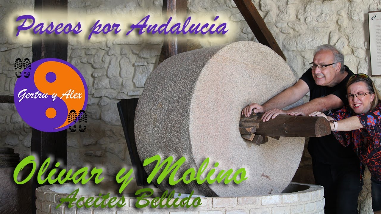 Visita a C&oacute;rdoba: Olivares y Almazara, c&oacute;mo se hace el mejor aceite de oliva virgen extra 🌳🌳🌳😎😎