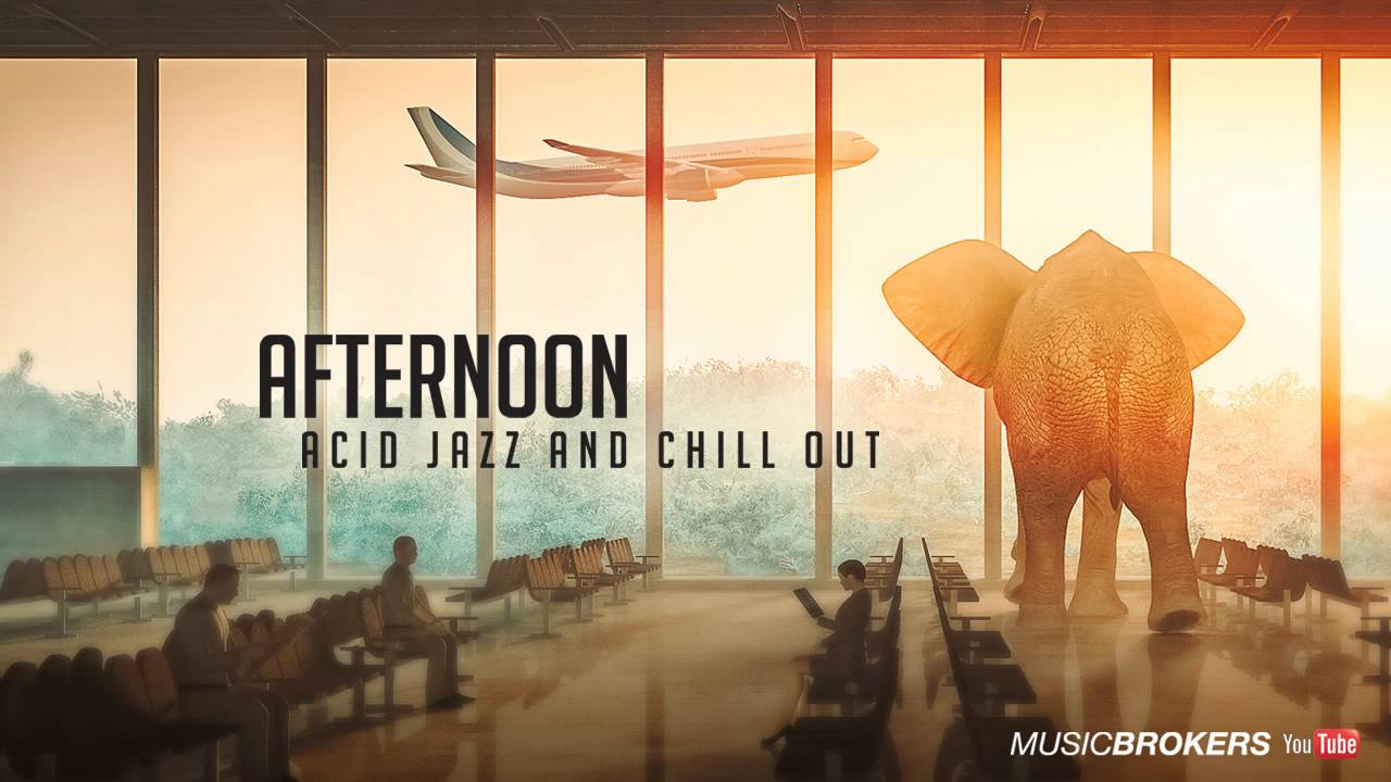 The Spirit of the Hawk - Afternoon - Acid Jazz and Chill Out