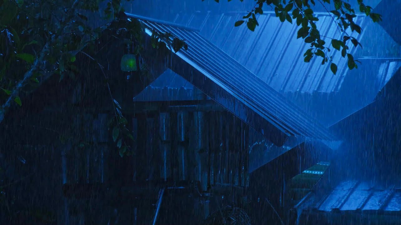 (No Ads) Goodbye Insomnia with Heavy Rain on a Stale Tin Roof in Foggy Murky Forest at Night