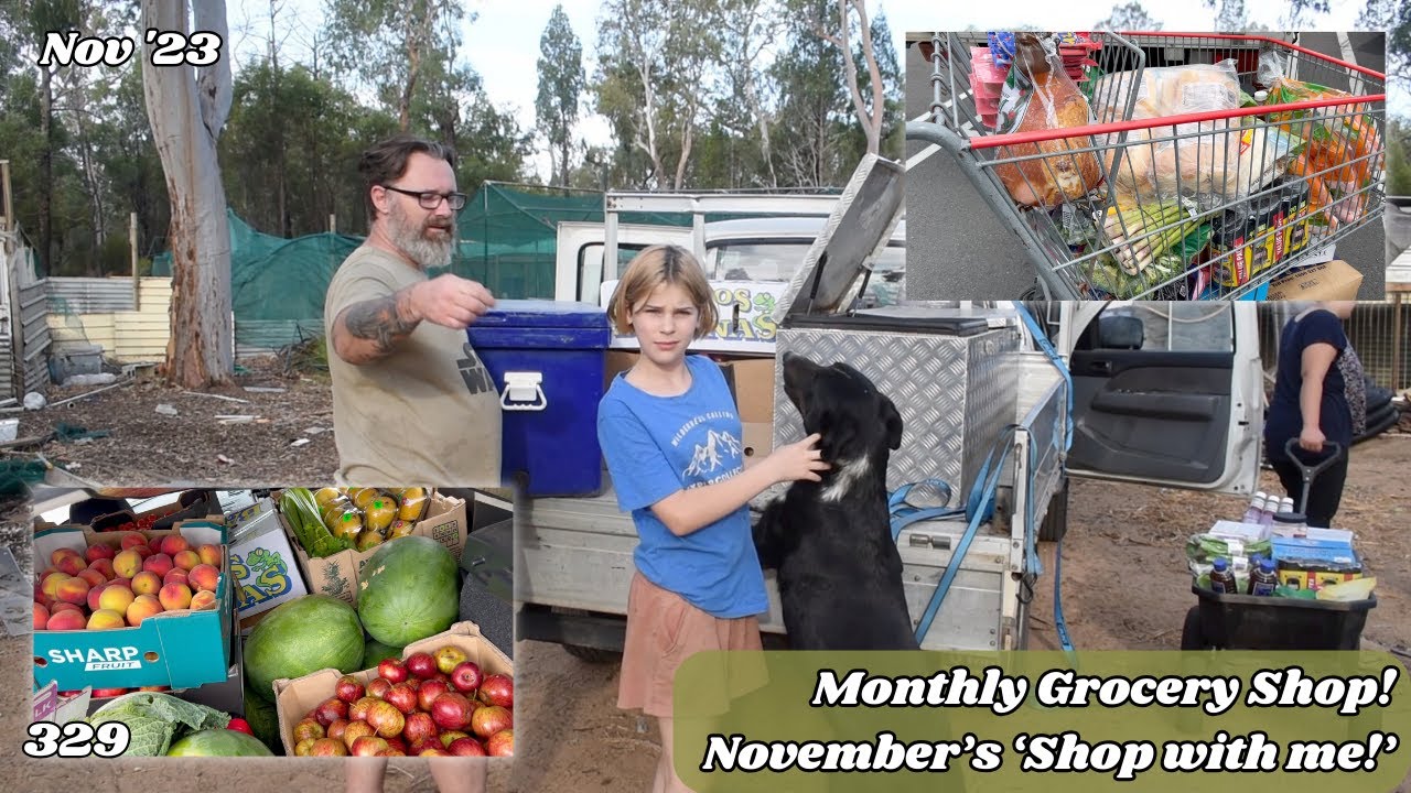 November's Shopping Trip - Coles, Kmart, Big W, Costco, Butcher, F&V! | Off Grid Australia 329