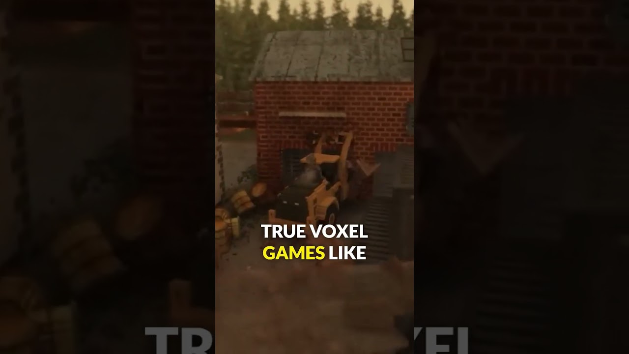 This is a REAL voxel game!