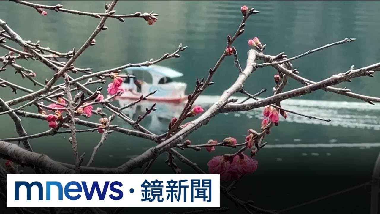 玉山神學院現緋紅色花海　配湖光山色引遊客朝聖｜#鏡新聞
