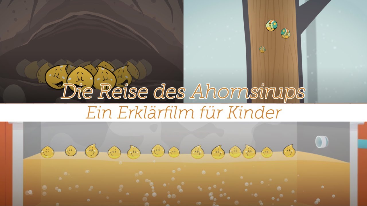 Die Reise des Ahornsirups // Die Herstellung von Ahornsirup für Kinder erklärt