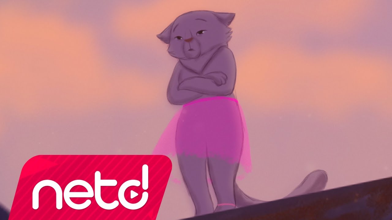 Kalben - Kedi