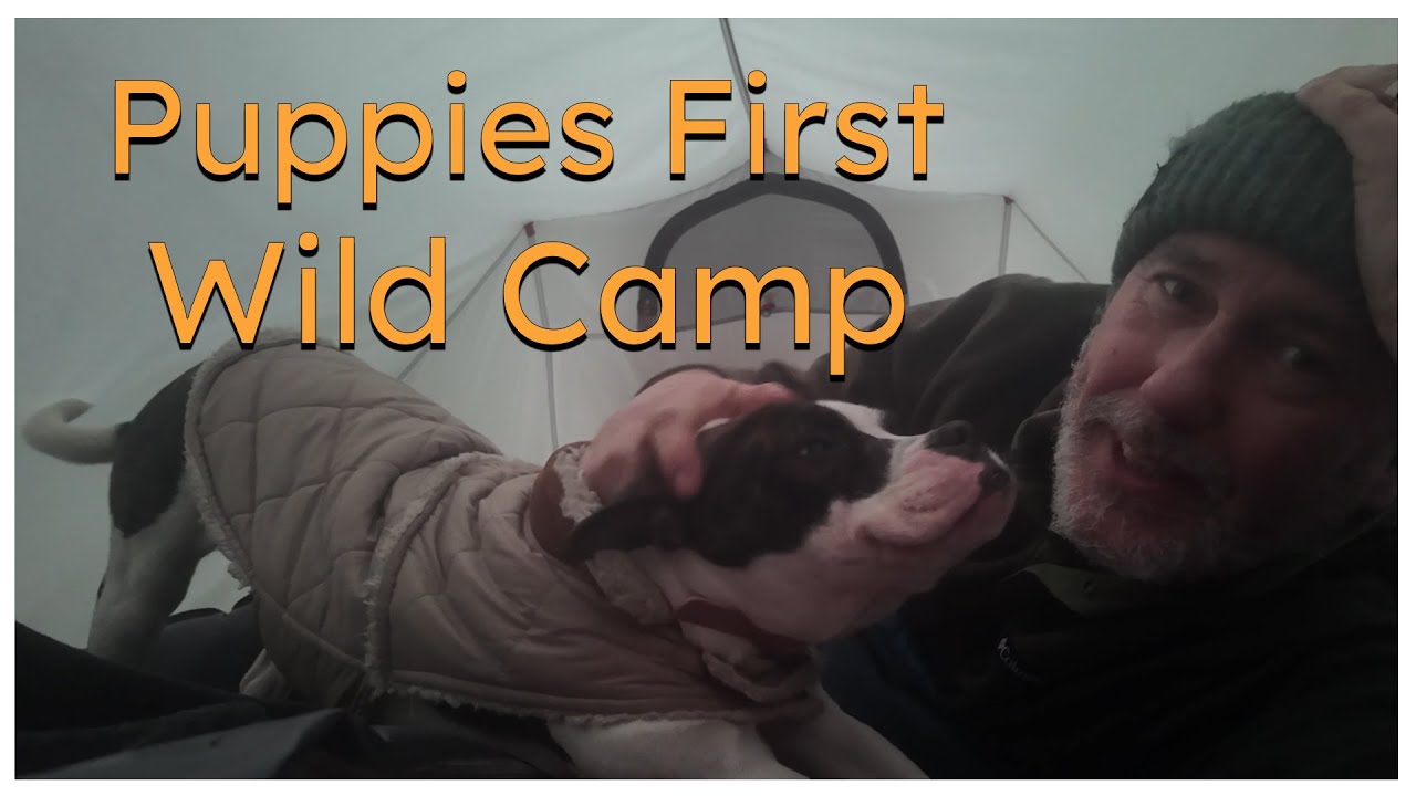 My Puppy’s First Wild Camp:  New Outask Dog Airpad Test! 🐶🏕️