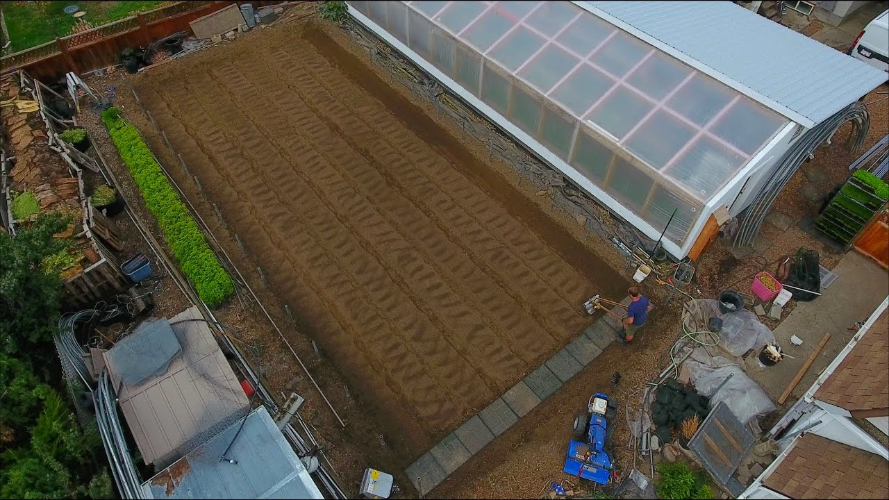 How to shape and prepare greenhouse beds - VLOG 38