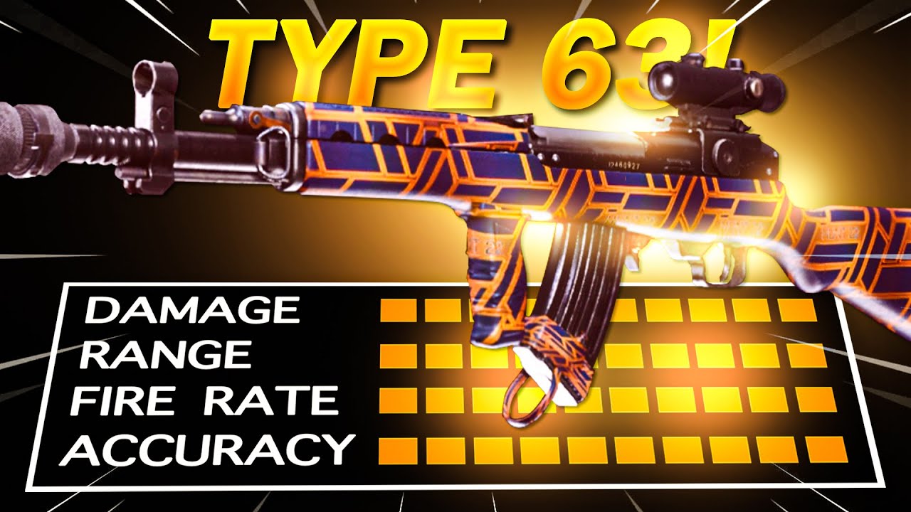 Type 63 *BETTER* than the DMR-14..? (BEST TYPE 63 CLASS SETUP) - (Cold War Warzone)