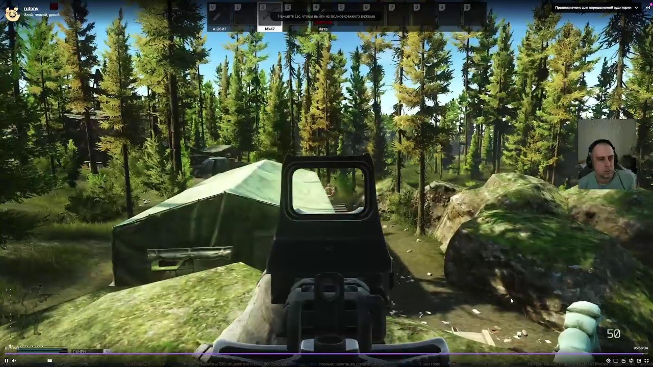 Скрипт получения цен для Escape from Tarkov для #rutonychat