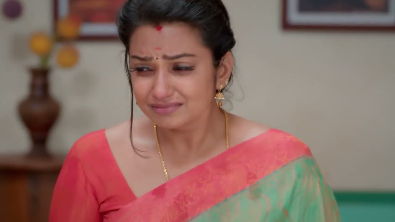 Thavamai Thavamirundhu - Full Ep - 301 - Markandeyan, Seetha, Pandi - Zee Tamil
