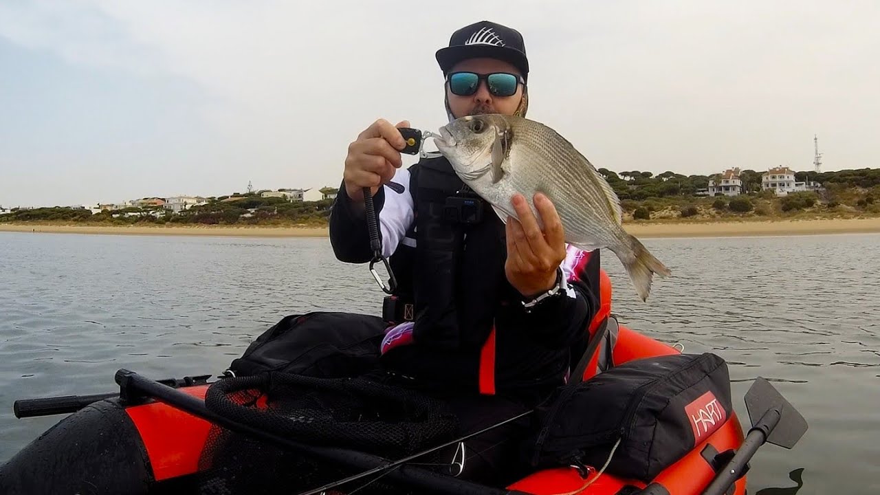 DORADA desde PATO - RockFishing 🤟🤟