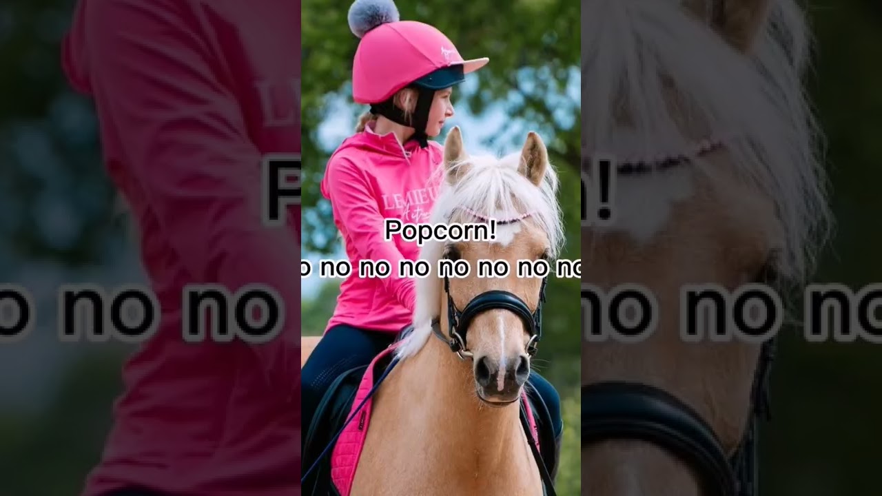 Some funny Harlow and Harlen moments 😂#edit #shorts #horse #pony #popcorn #funny #harlowlunawhite