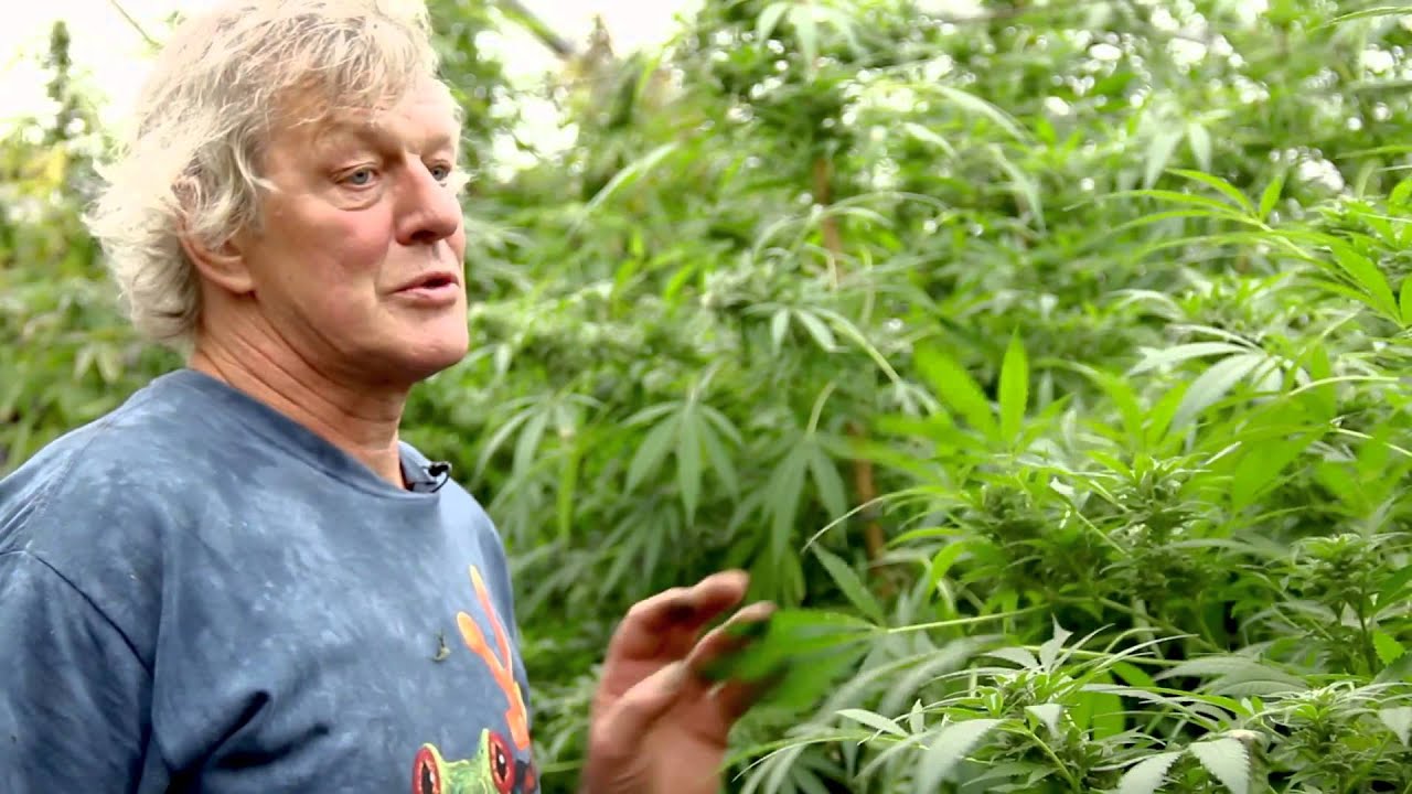 Doede Le Docu deel 4 - Kwekersdilemma's