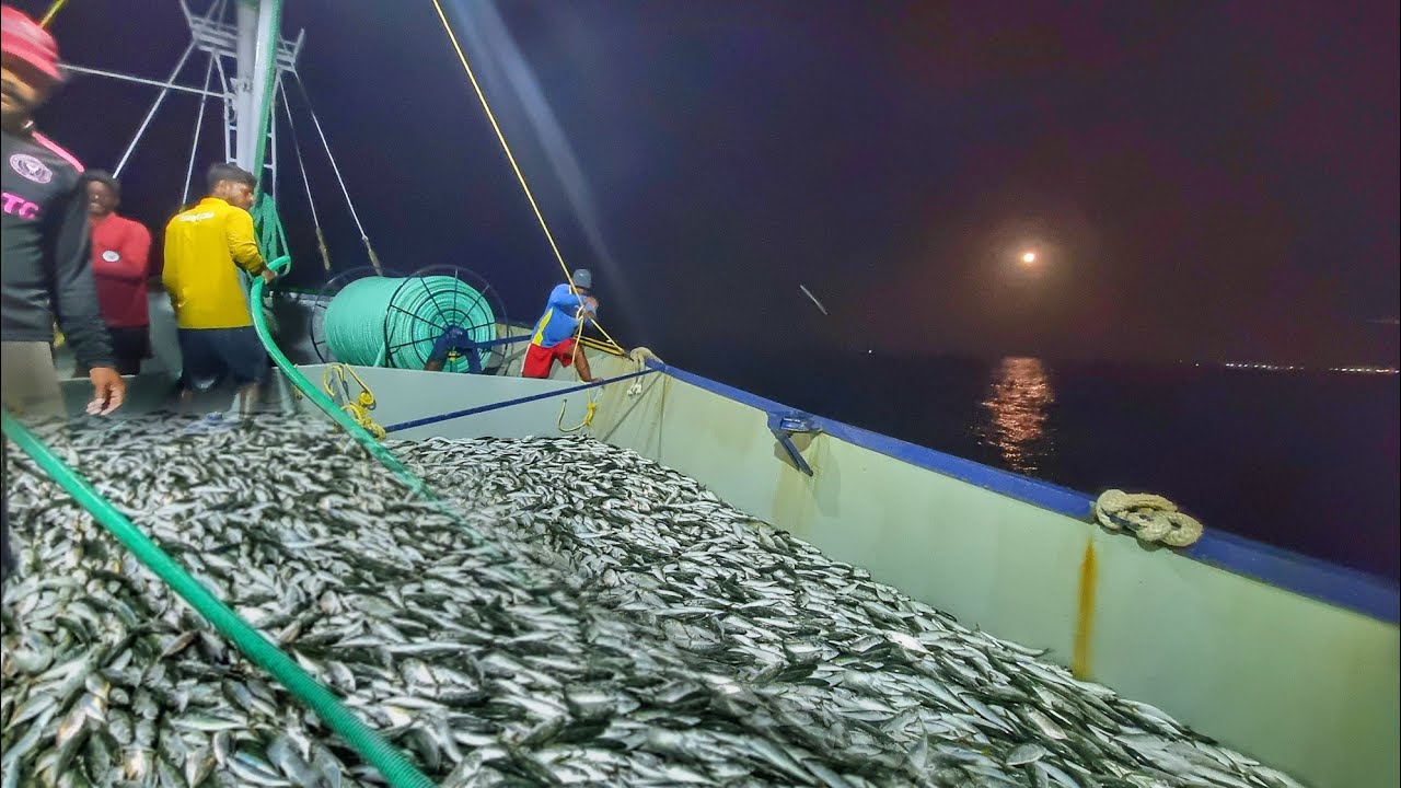 Amazing!! We Caught A Boatload Of Mackerel Fish from the Sea! | Deep Sea Fishing | Ep3 |