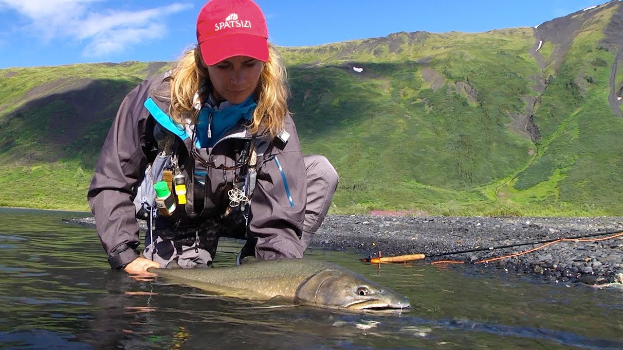 Fly Fishing for Brown Trout, Bull Trout and Steelhead - by Todd Moen