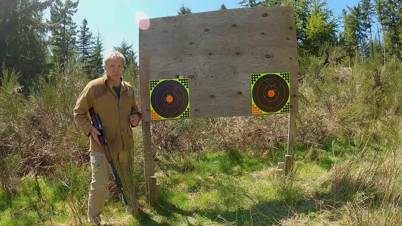 AK Platform vs SKS
