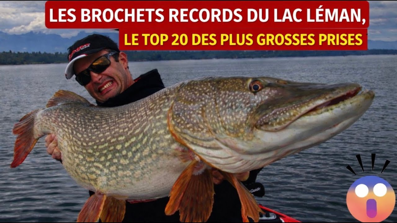 Les brochets records du lac Léman, le top 20 des plus grosses prises ( attention poutre )