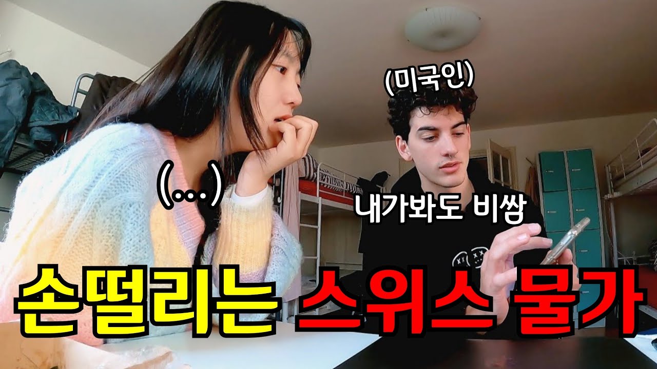🇨🇭 #1 낭만의 스위스 도착! 근데 한끼에 10만원이요..?ㄷㄷㄷ ㅣ전세계 최고 물가 스위스 적응기🤑