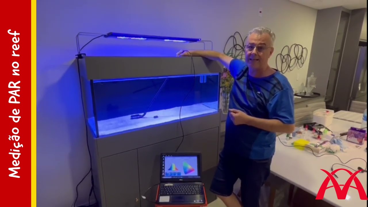 Como saber se a luminária do seu aquário está adequada?