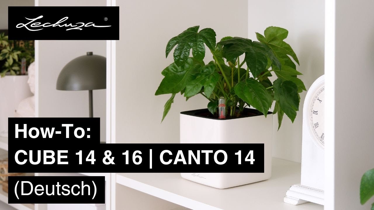 How-To: CUBE 14 & 16 | CANTO 14 | Sticksystem | LECHUZA | Deutsch
