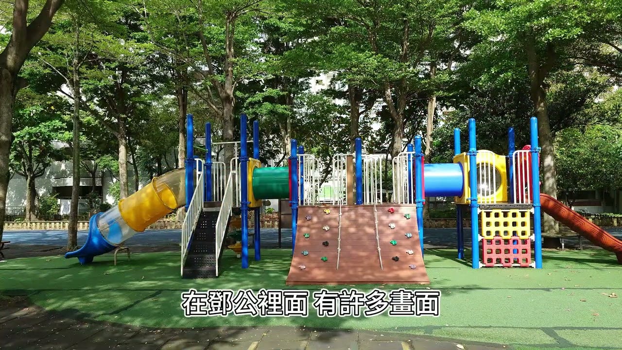 我在鄧公的歲月