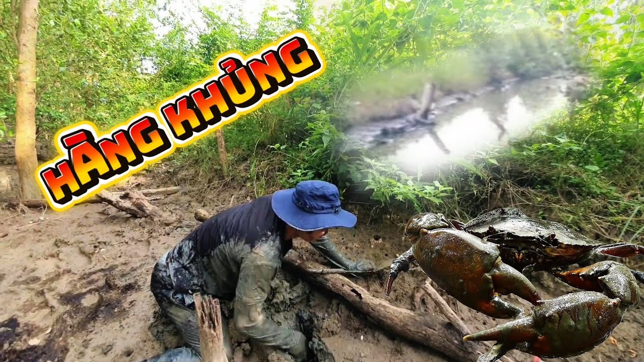  Phát Hiện Cua khủng Trong hang sâu 3m