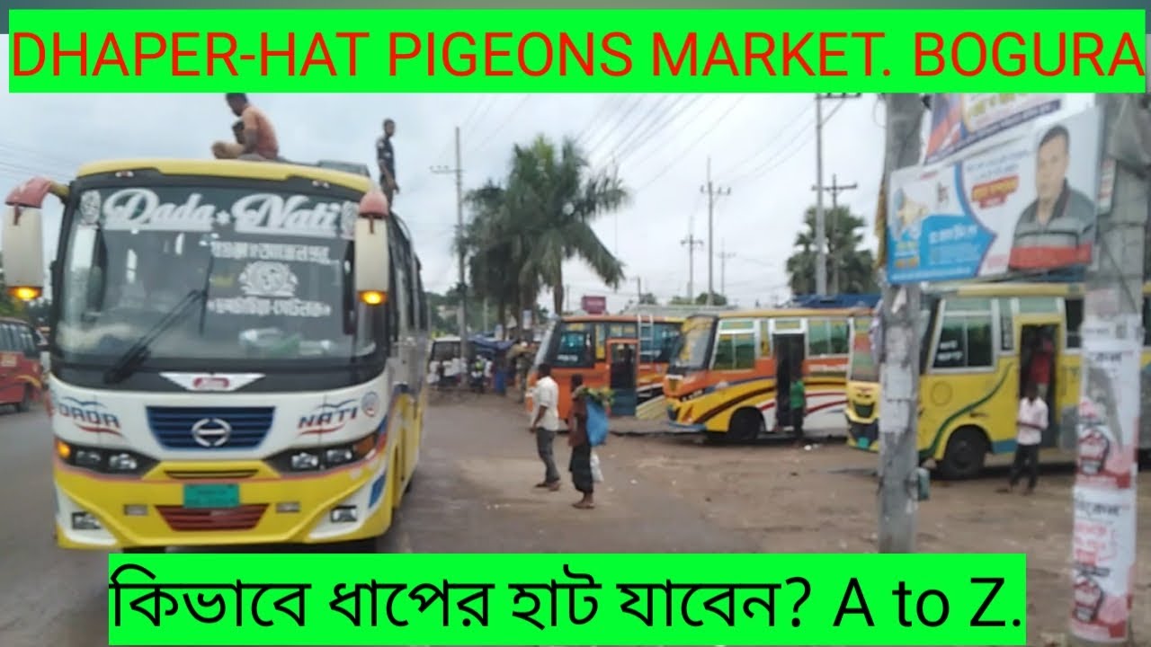 বগুড়ার বৃহত্তর ধাপেরহাটে যাওয়ার উপায়। Going to Dhaperhat, pigeon's market, Bogura.