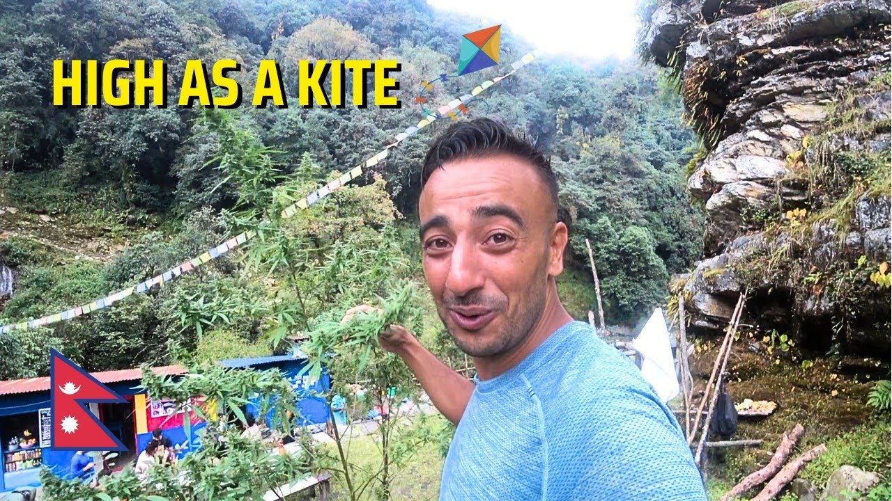 Cannabis Farm in The Mountains of Nepal 🇳🇵