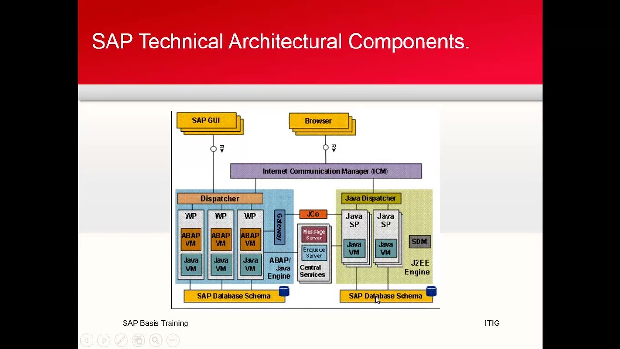 What is SAP || What is SAP Basis || SAP BASIS Introduction