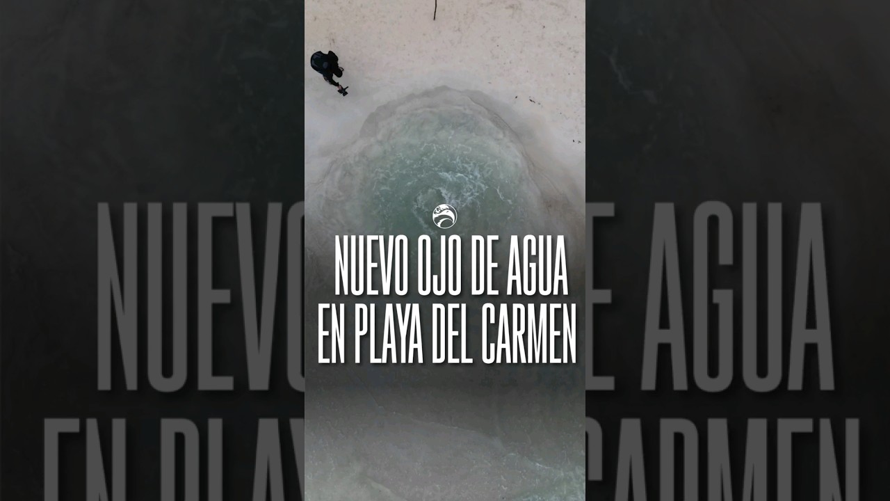 ¿Ojo de agua en Playa del Carmen? 🌊👇🏻