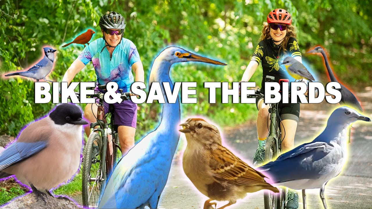 BIG BIRD BIKING Day: Save the Birds