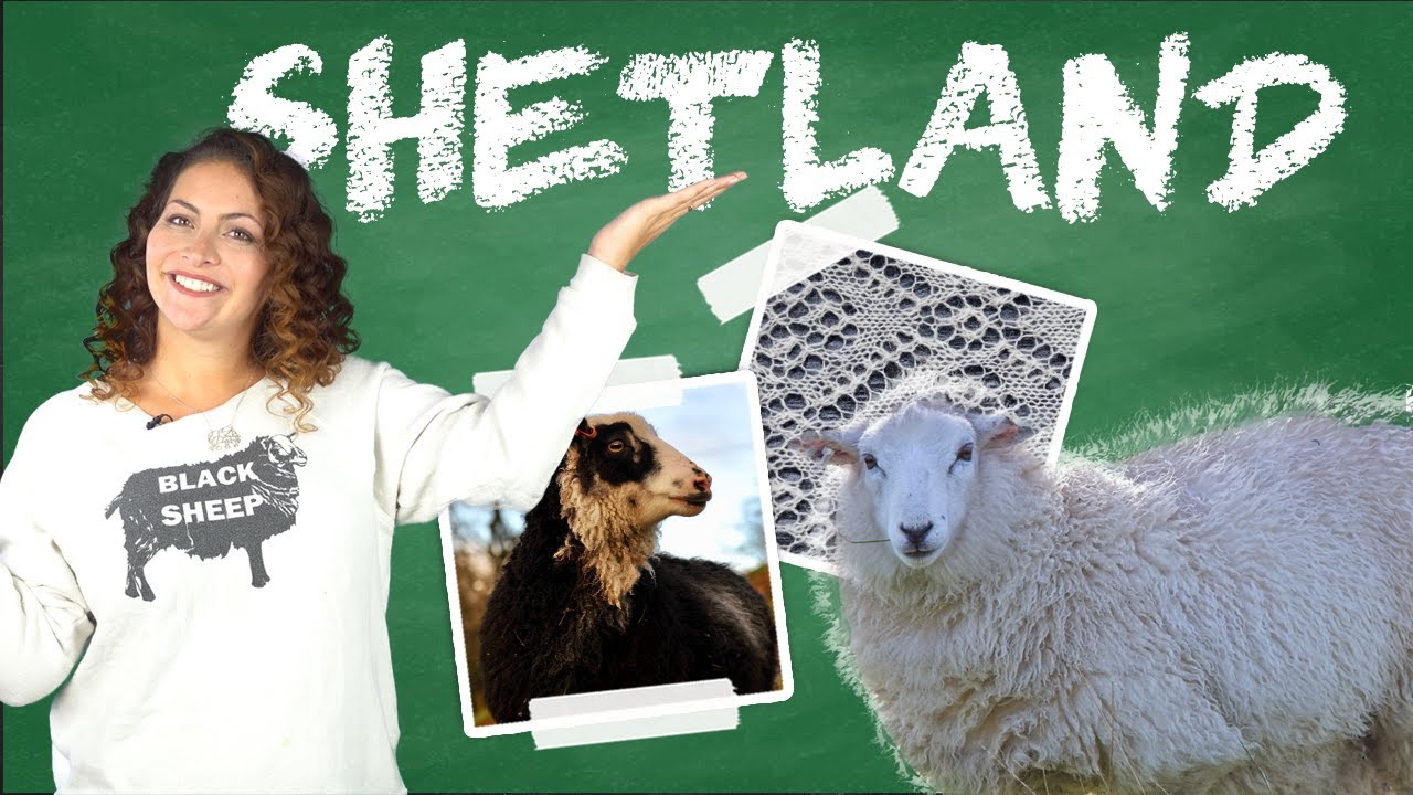 What's so Special about Shetland Wool? - Yarn University #11